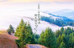 开云体育在线-宿命的弧线，2026，当比利时黄金一代用B费的致命一击，为葡萄牙黄金时代画下句点