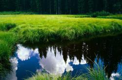 开云体育中国-德甲新纪元，拜仁霸权遭遇最强挑战，奥亚尔萨瓦尔点燃翻盘烽火