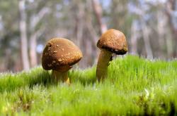 开云体育app-霍勒迪连珠炮导演得分狂潮，奇才万箭齐发令活塞溃不成军