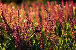 开云体育APP下载-跨界狂飙，当爱德华兹在篮球F1赛道上轻取雄鹿