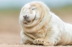 开云体育APP下载-当爵士乐闯入交响厅，布克幽灵节奏如何让勇士与骑士忘记自己的乐谱