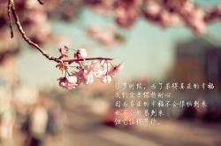 开云体育入口-广厦队带走马刺背后，一场围绕奥运周期的关键战与焦点战