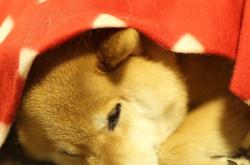 开云体育登录-终极封神，欧冠决赛夜，巴斯托尼用数据金字塔筑起不败城墙