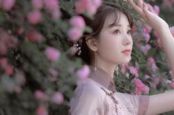 开云sport-铁血翅膀撕裂雷霆夜，东契奇终场一剑封喉