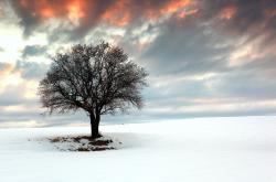 开云体育APP下载-压哨绝杀！拜仁险胜丹麦黑马，苏亚雷斯数据爆炸难救主