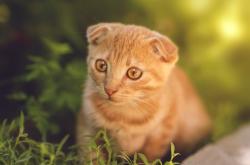 开云体育登录-赛道上的篮筐，当保罗踩下争冠油门