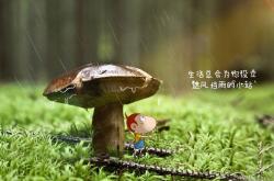 开云体育平台APP-全球瞩目！金州勇士终结爵士高原神话，世界排名争夺战上演巅峰压制