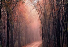 开云体育登录-韩国队完胜瑞典队，奥恰洛夫统治全场，乒乓球国际赛精彩瞬间