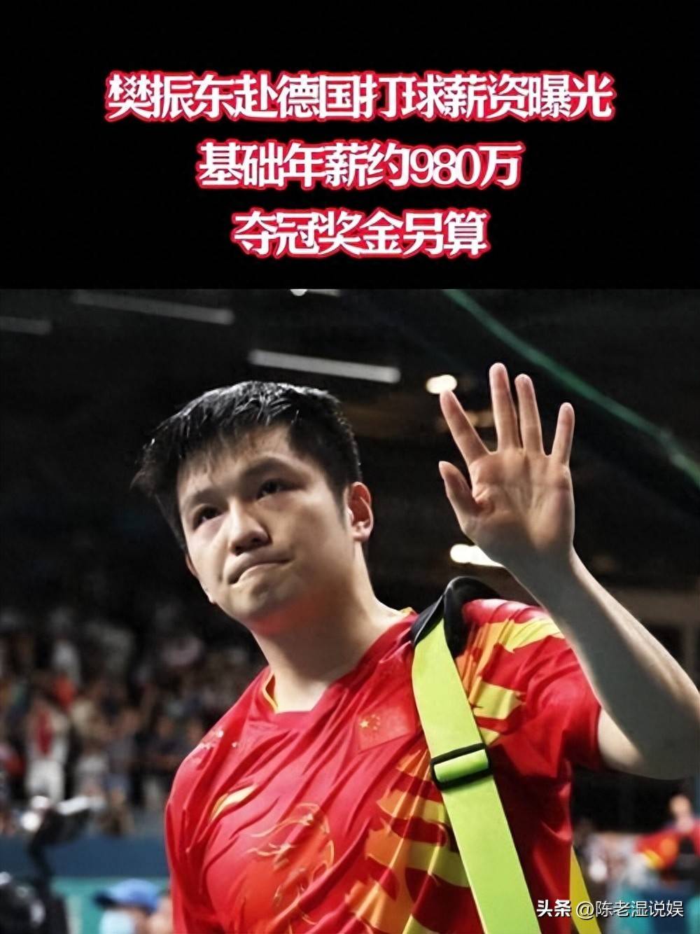 德国乒乓球队爆冷波兰乒乓球队,樊振东送出助攻的简单介绍 德国乒乓球队爆冷波兰乒乓球队,樊振东送出助攻的简单介绍