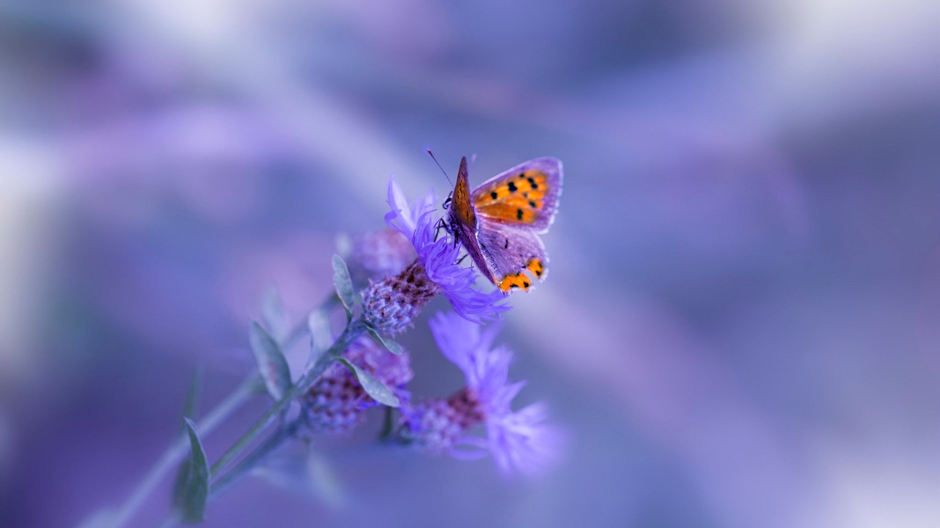 孤胆英雄与大江逆流,詹姆斯一球改写争霸史