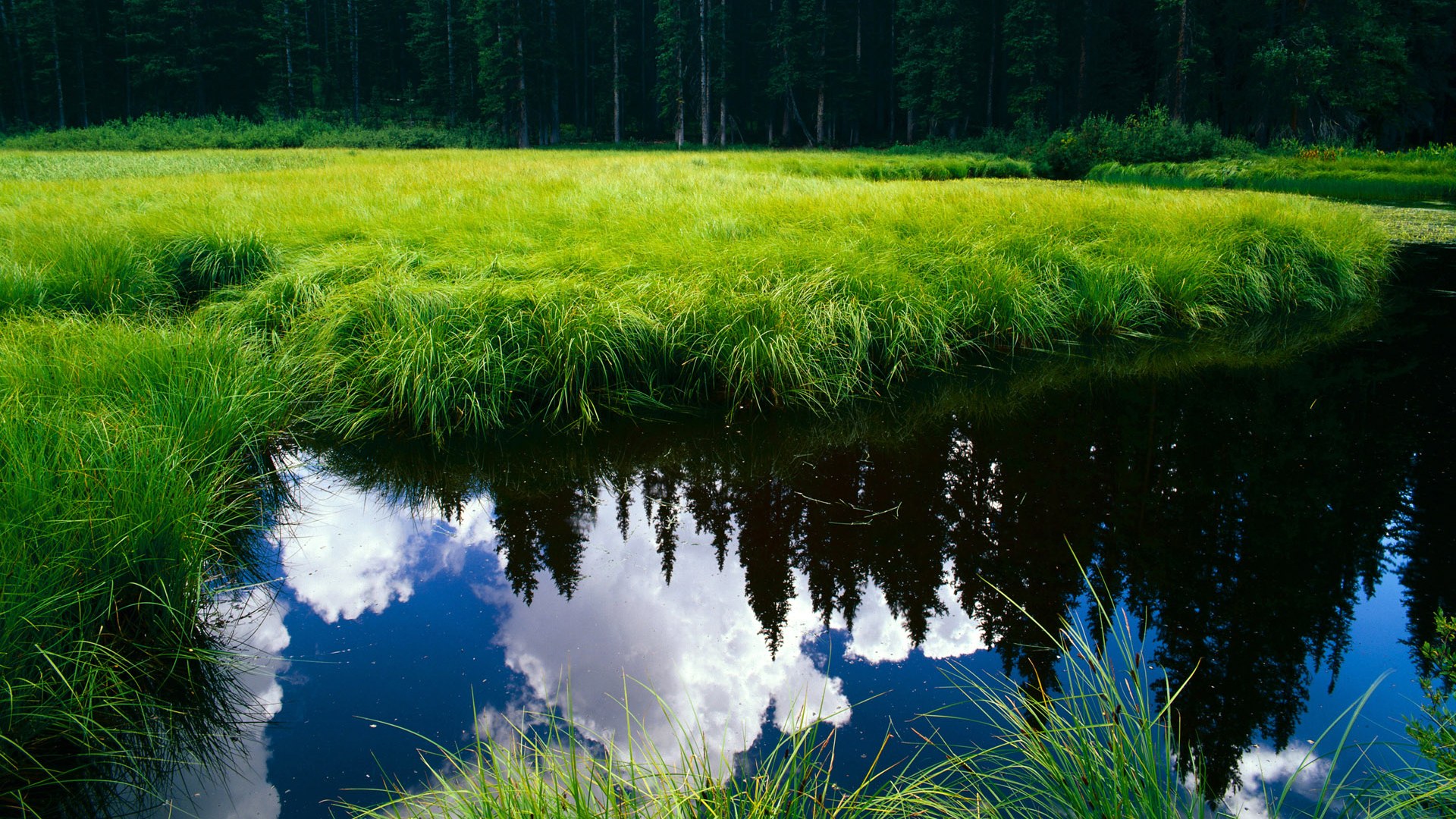 寂静革命，当梅赛德斯改写F1物理法则，塞恩斯用数据雕刻时间