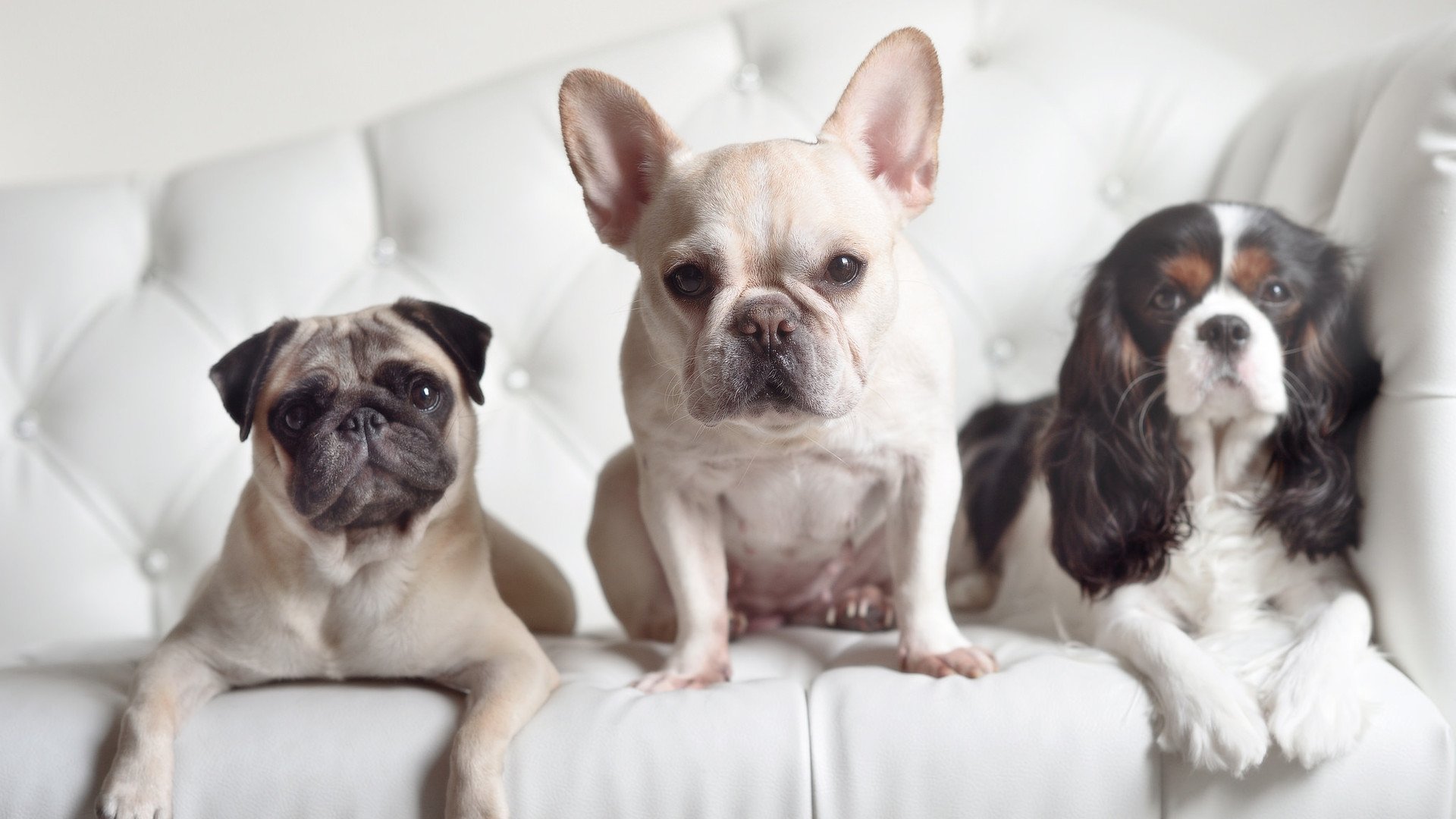 世界排名争夺战之夜,当烟花为杰伦格林而燃