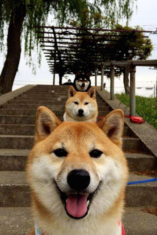 五秒窒息到永恒逆袭，小贾伦与勇士队的涅槃四分钟