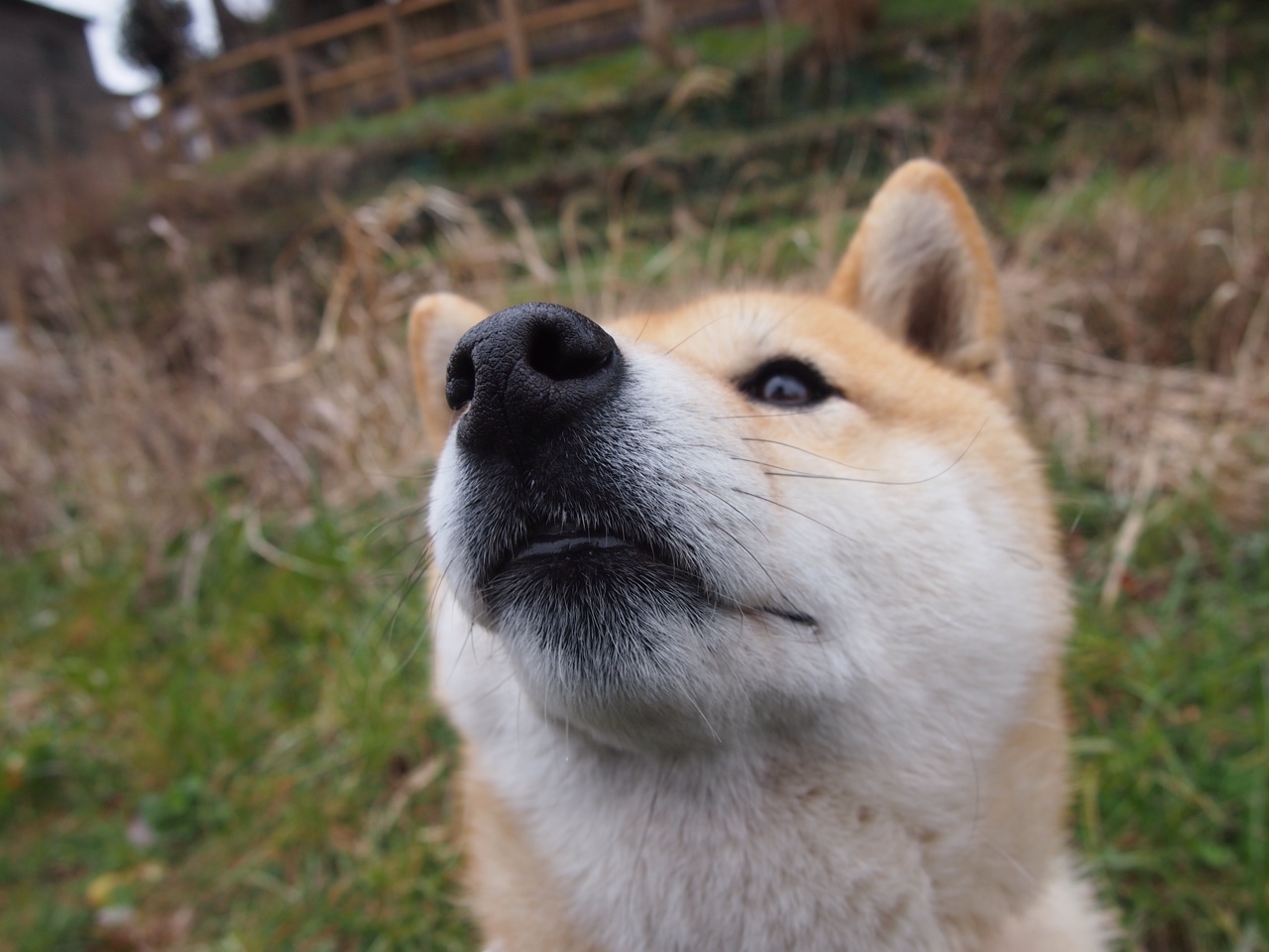 奇兵迪巴拉助阵,非洲黑马几内亚友谊赛淘汰比利亚雷亚尔
