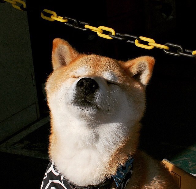 破局,从绿茵场到地缘棋盘—阿尔瓦雷斯的灵感与摩洛哥的封锁