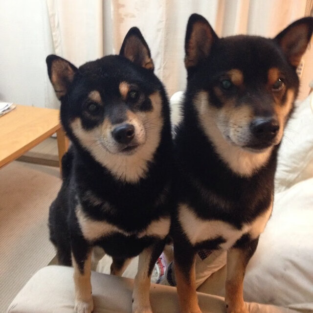 奇迹的战场，从德甲争冠的窒息对峙，到南非逆转丹麦的黎明之光