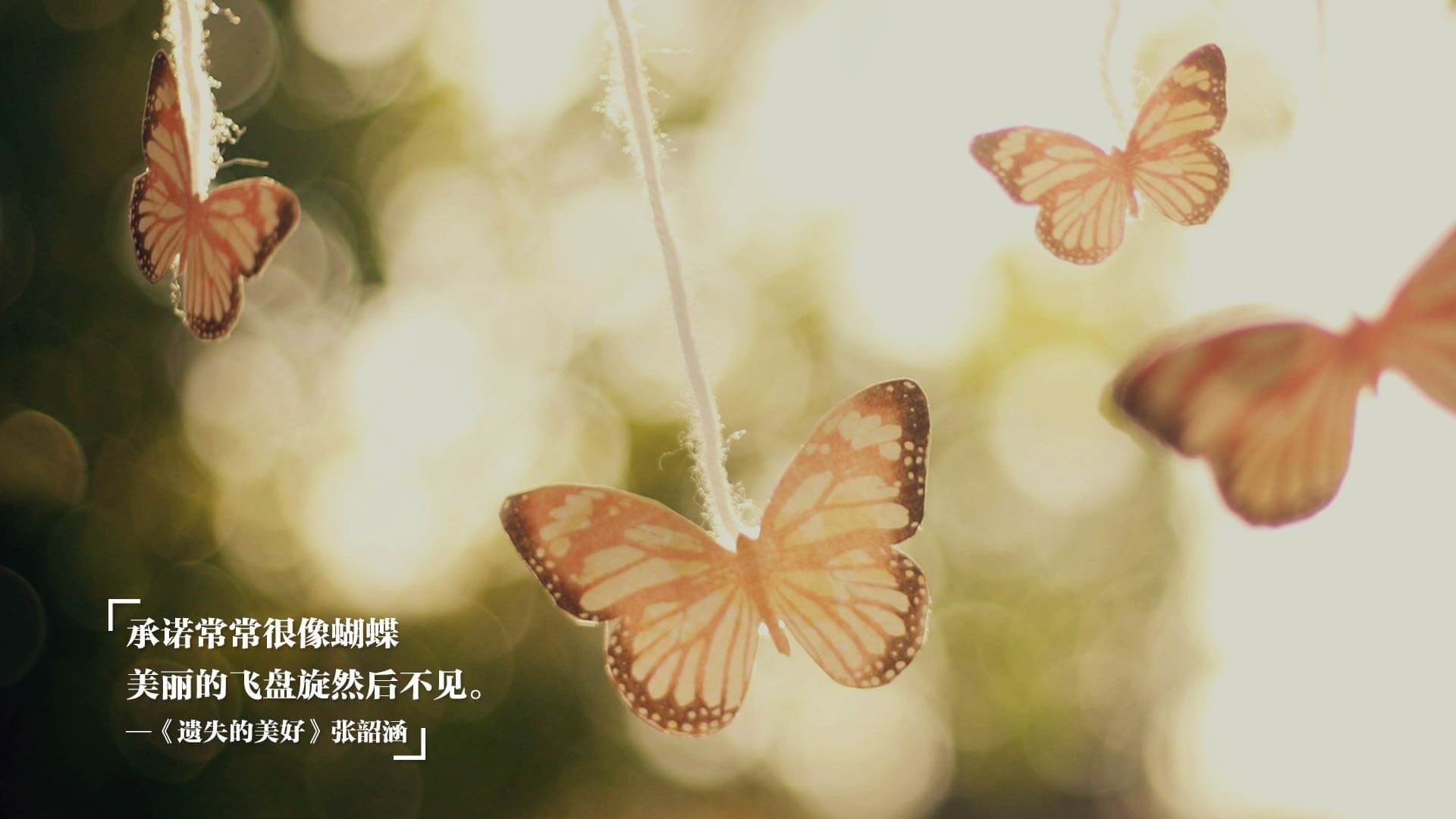 英超阴影下的双城记,皇家社会击碎傲慢,孙兴慜照亮亚洲之光