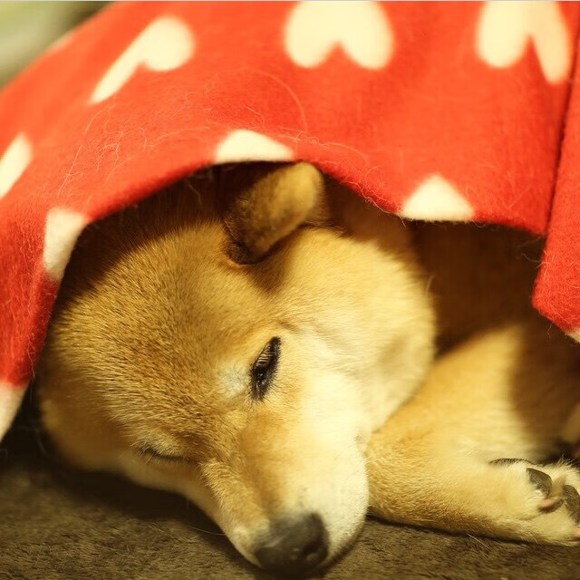 终极封神,欧冠决赛夜,巴斯托尼用数据金字塔筑起不败城墙