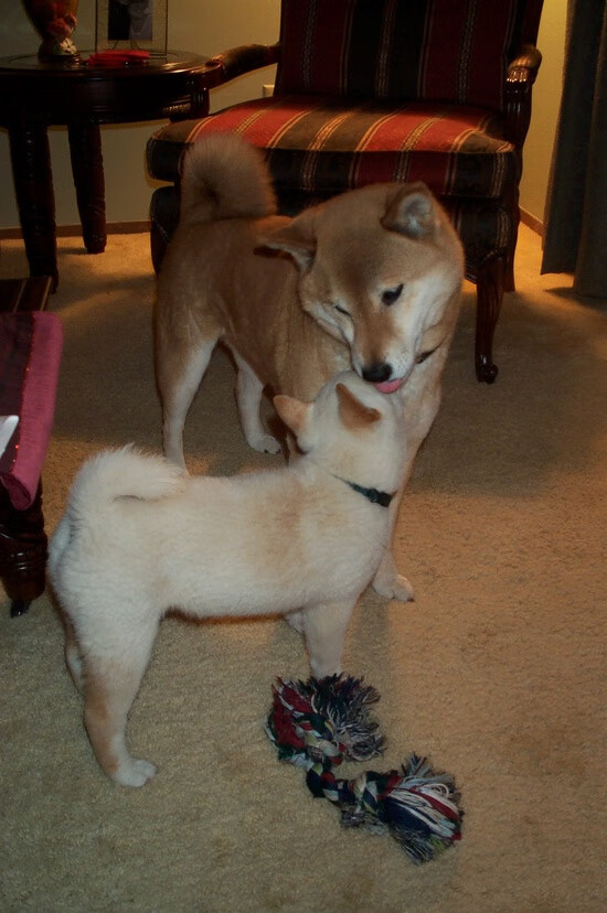 非意乙，非德比，当梅阿查的雪与东莞的雨同时落下