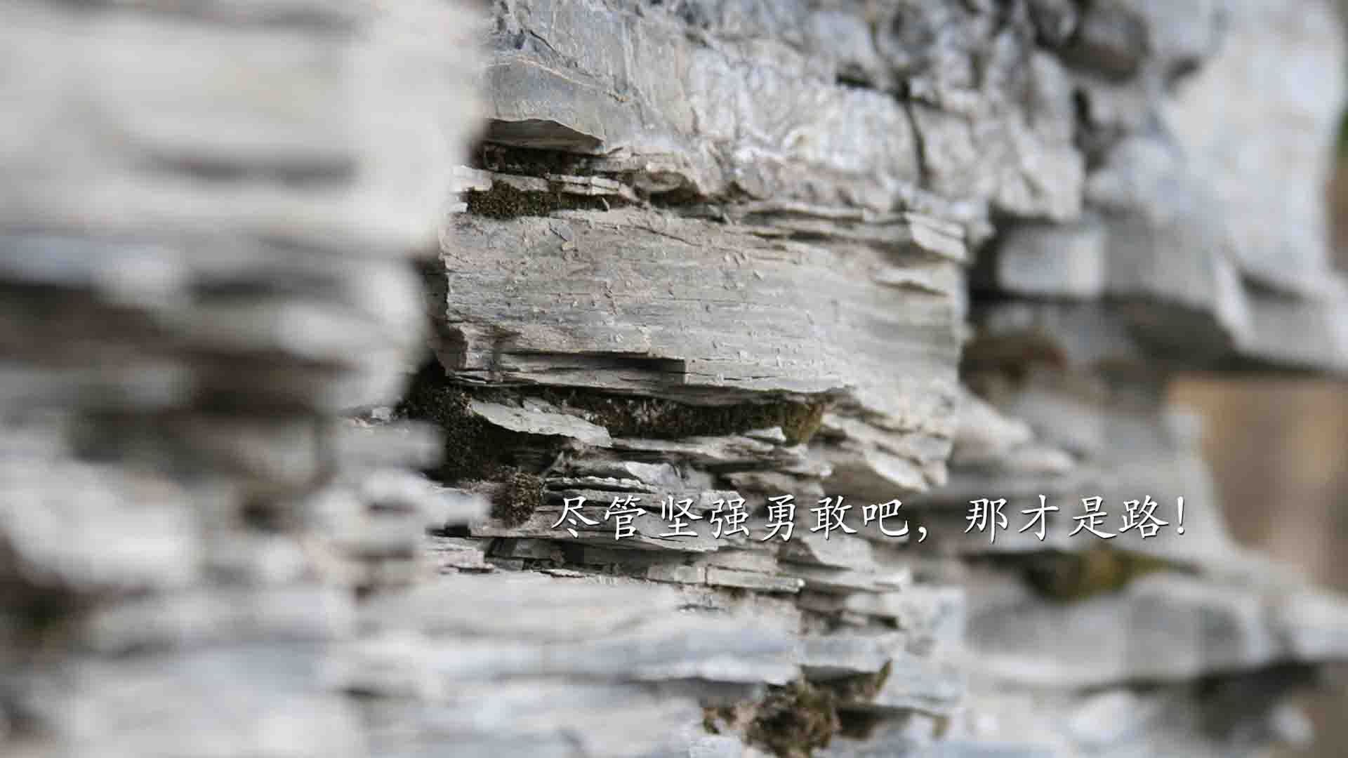 极速与绿茵的交响，迪巴拉在阿布扎比雨夜的重生