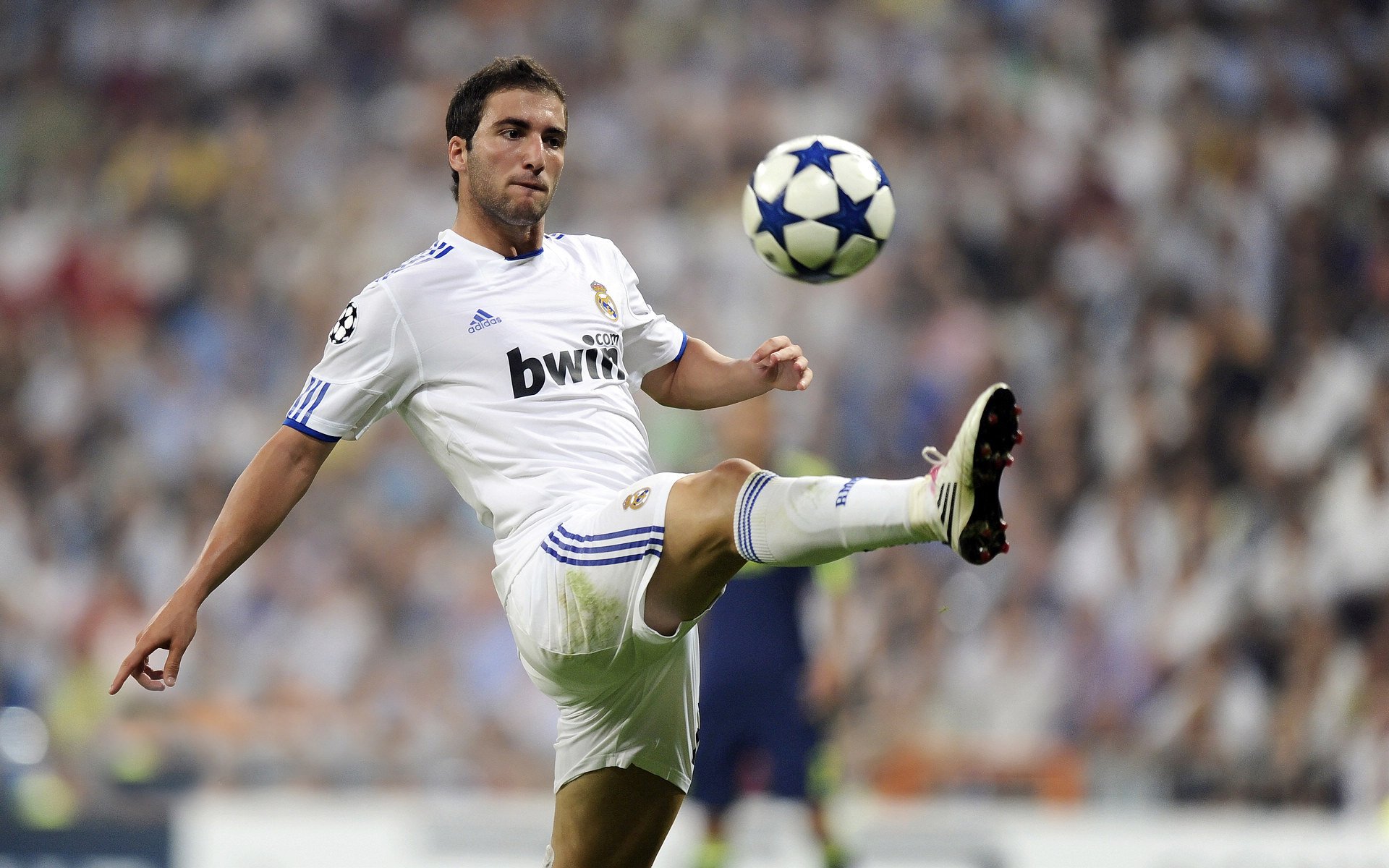 篮球场上的欧冠淘汰赛之夜,塔图姆防守端锁死对手的终极艺术