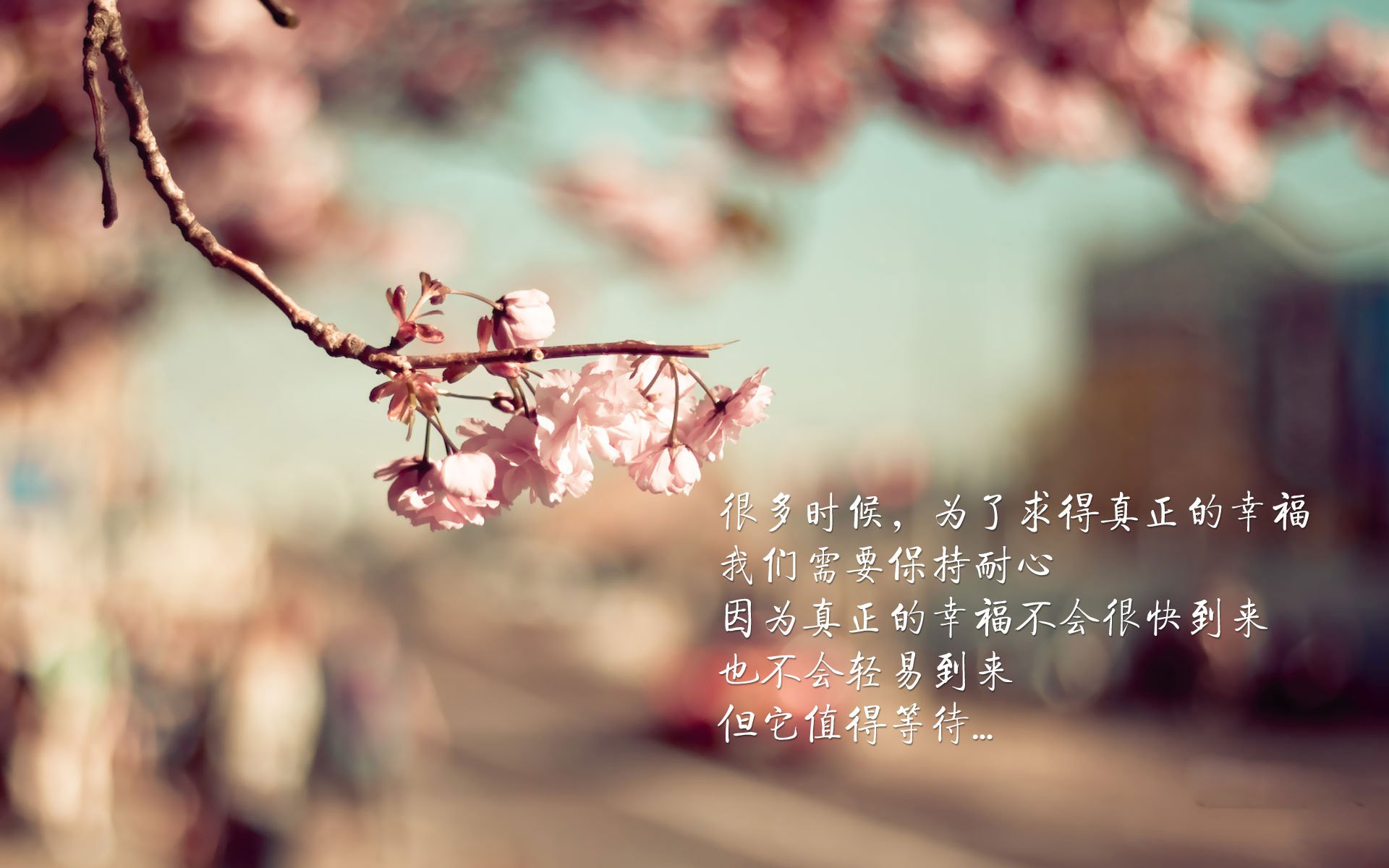 铁骑与王冠,欧冠之夜的双核驱动,勒沃库森铁血合击,姆巴佩孤星耀巴黎