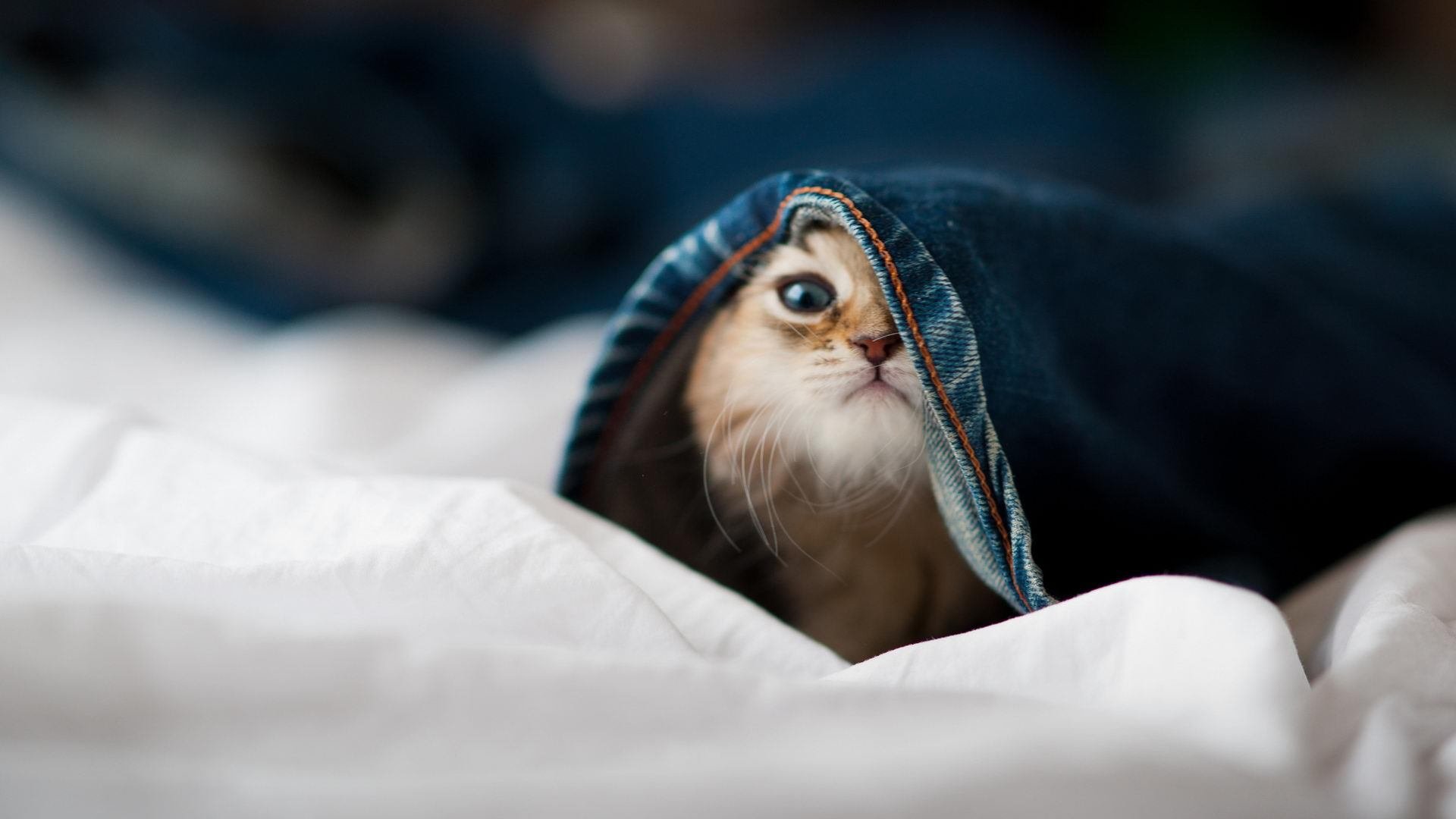 唯一性的证明,当英格兰的铁血遇上皇马的星河,劳塔罗用大场面写下新定义