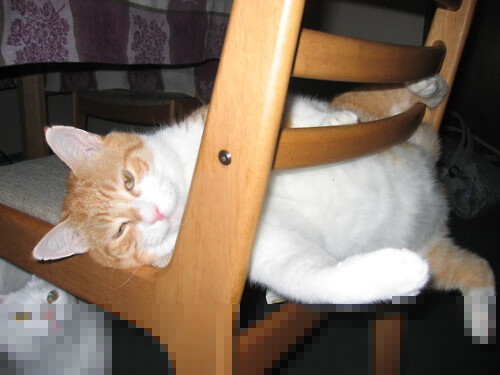 南美风暴席卷世界，新西兰队冷门崩盘，恩佐的防守蛛网锁死对手