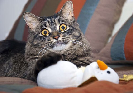 狼王啸，山河定，爱德华兹东决关键战，定义了这时代最锋利的模样