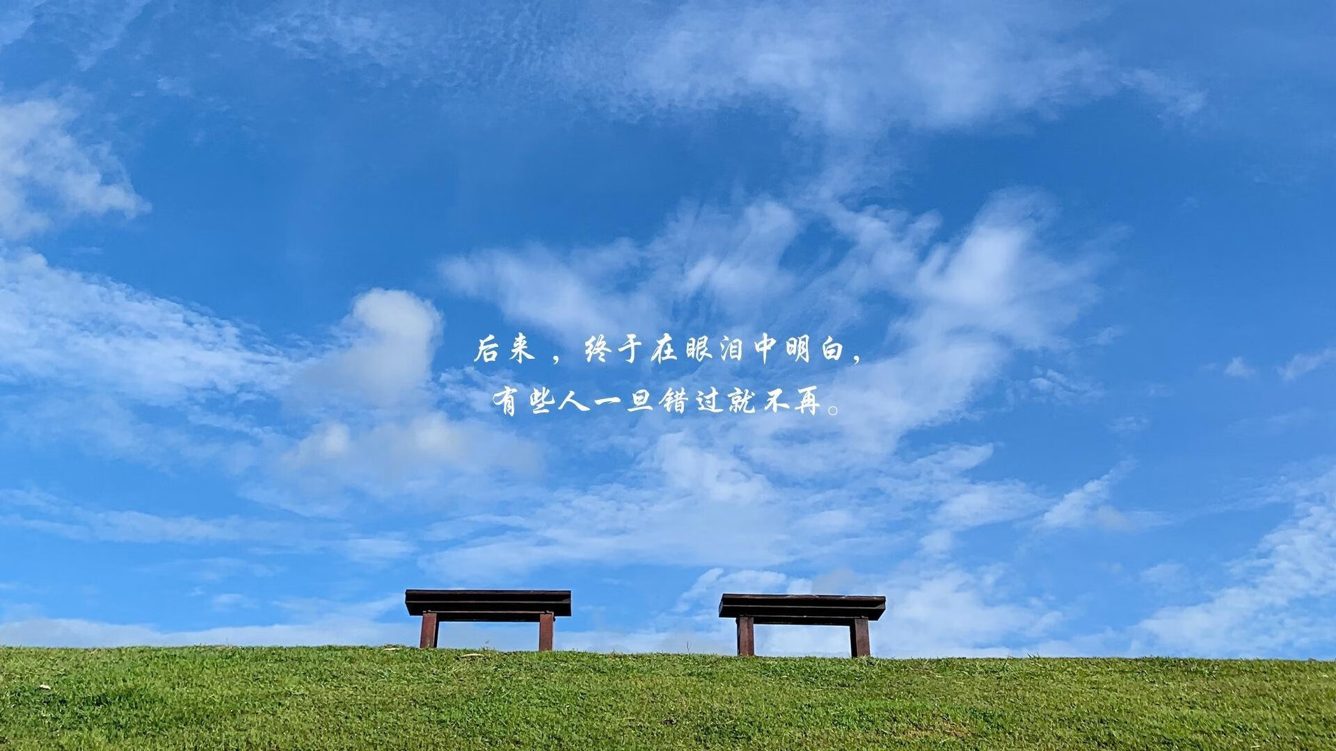 战车与紫百合之间,无名英雄拉亚如何改写结局