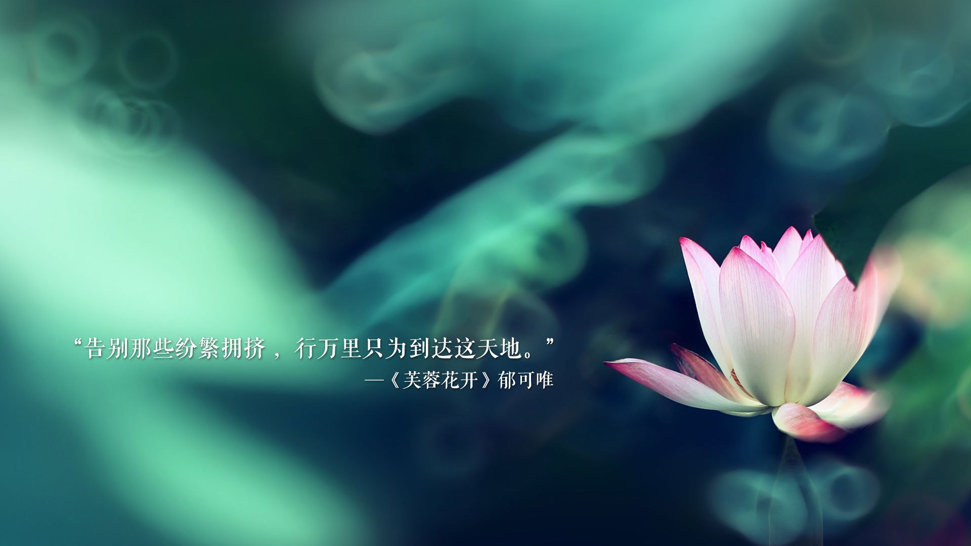 2026世界杯关键战，阿诺德唯一使命，西班牙与巴西的终极博弈